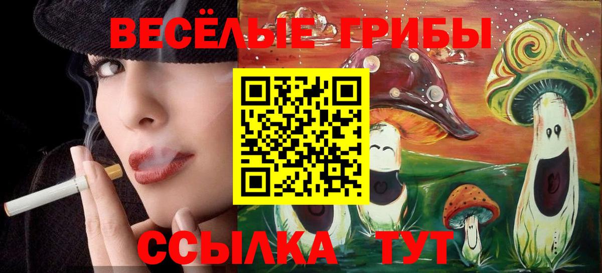 Галлюциногенные грибы Magic Shrooms  Вход с VPN  Гурьевск 