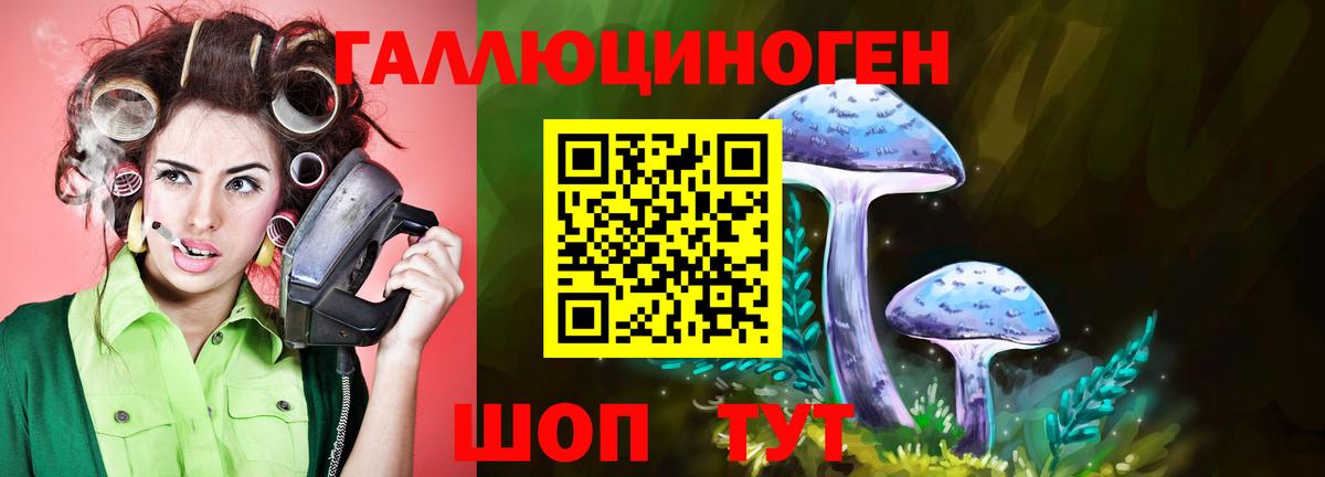 Галлюциногенные грибы Cubensis Гурьевск